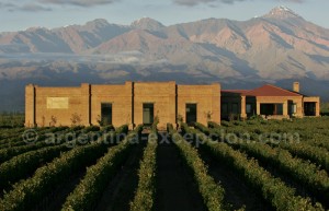 Bodega-y-viñedos-Andeluna