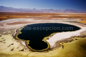 Laguna Cejar, Salar de Atacama, Chili