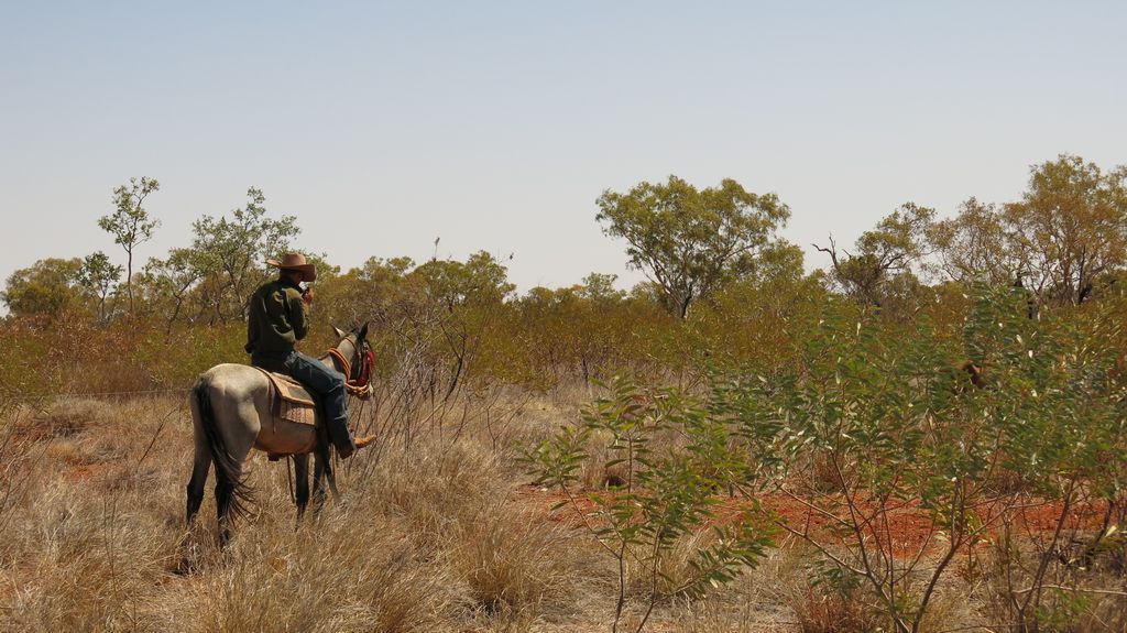 Désert Australie