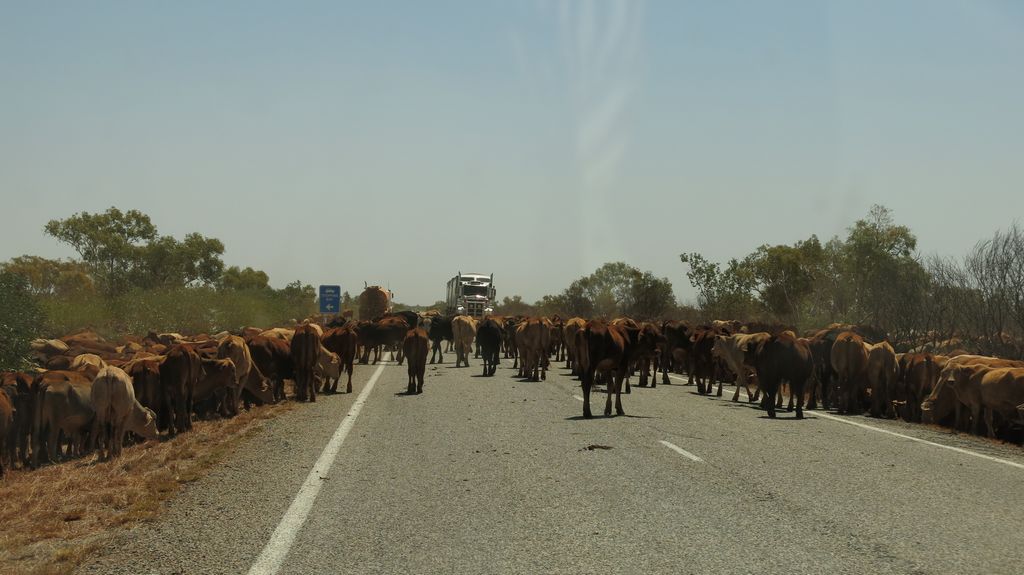 Désert Australie