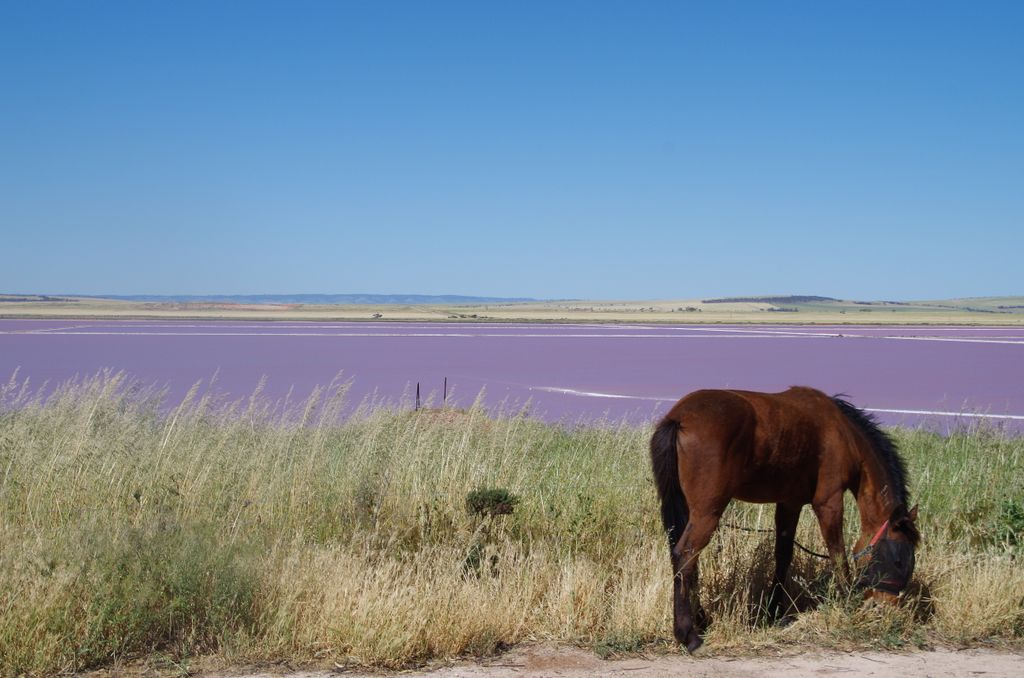 Lac de sel south australia