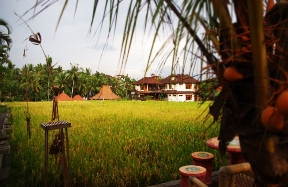 Ubud Bali