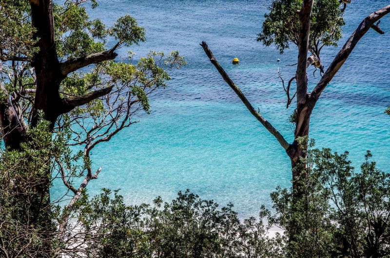 Eau cristalline de Jervis Bay