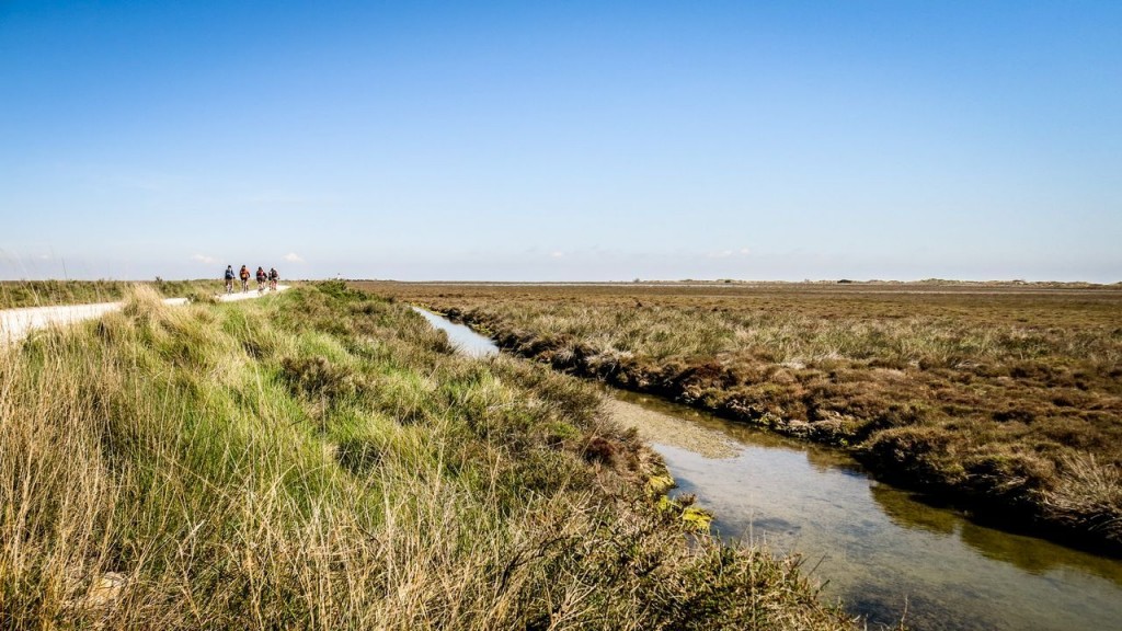 La Camargue