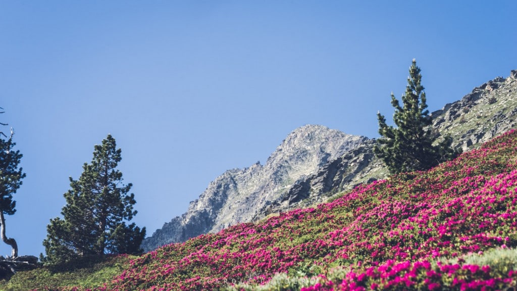 Randonnée Canigou