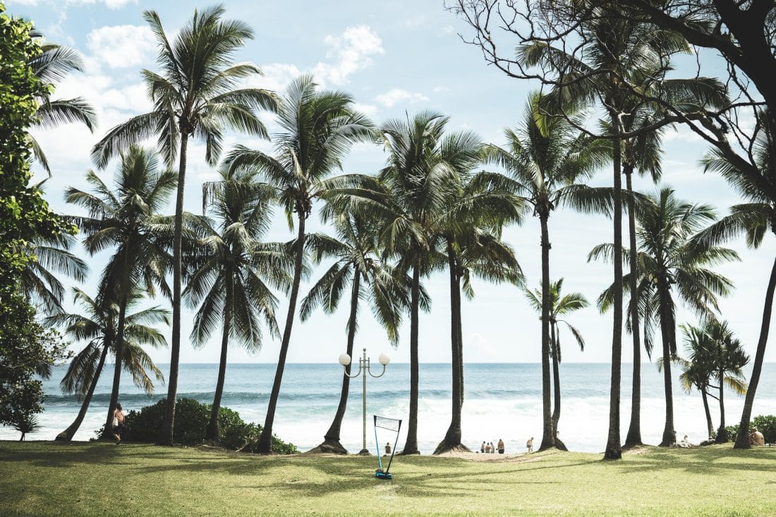 Que faire dans le Sud de la Réunion