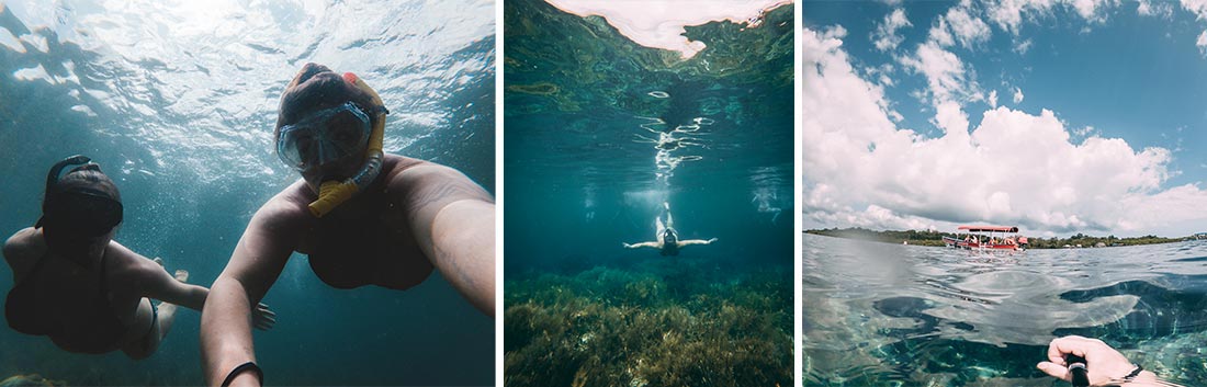 snorkeling bocas del toro