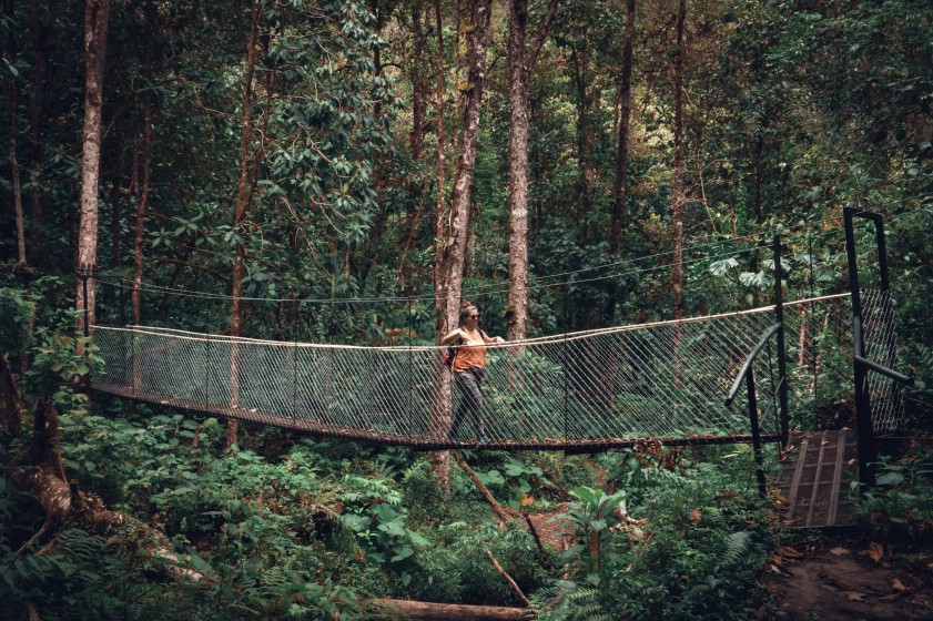 jungle Panama Boquete sony rx 100 vii